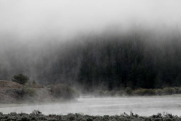 Foggy morning on the river. stock photo