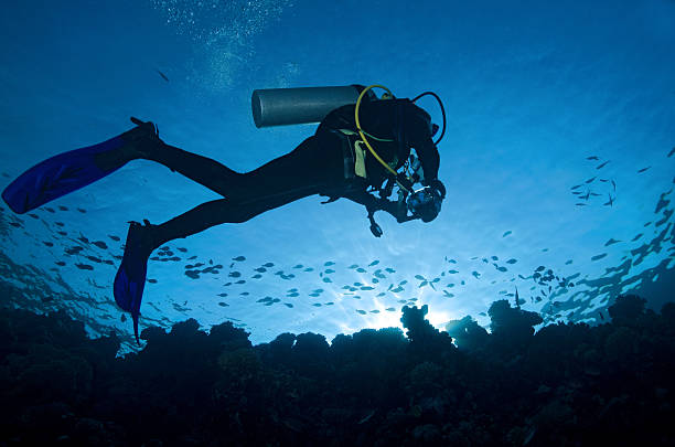 istock Scuba diver on coral reef at sunset 185187602