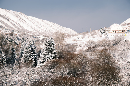 Frozen winter ravine after snowfall