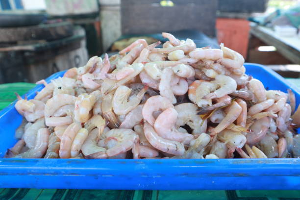 istock piles of fresh shrimp 1851903738