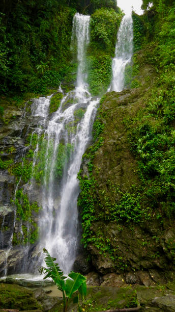 istock Tropical waterfall in the jungle. 1851923880