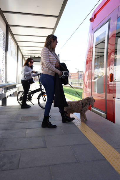 istock Lady with friend and Dog going onto tram 1851944269