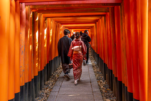 KYOTO/JAPAN - November28, 2023:People pass under the torii of the Fushimi inari temple