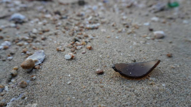 istock sharp piece of broken bottle on the beach, dangerous water pollution 1851955891