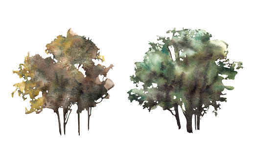 Deciduous trees or bushes watercolor hand painted illustration clipart. Various forest, park, field plant elements for your card, landscape template, logo, sticker. Isolated on white background.