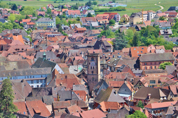 istock The Alsace Wine Route in Summer 1852018539
