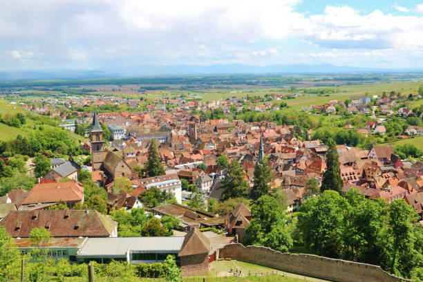 istock The Alsace Wine Route in Summer 1852018542
