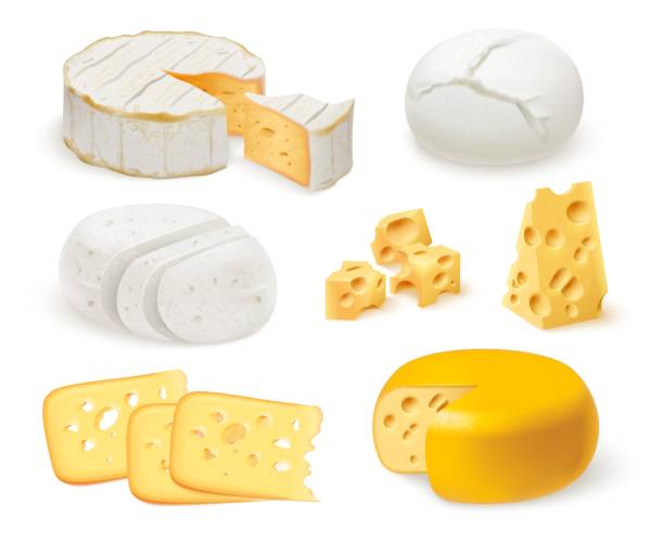 illustrazioni stock, clip art, cartoni animati e icone di tendenza di formaggio realistico. 3d tipi di formaggi, pezzo di fetta e intero cheddar duro edam crudo cottage bianco mascarpone gouda blocco svizzero gustoso antipasto - mozzarella