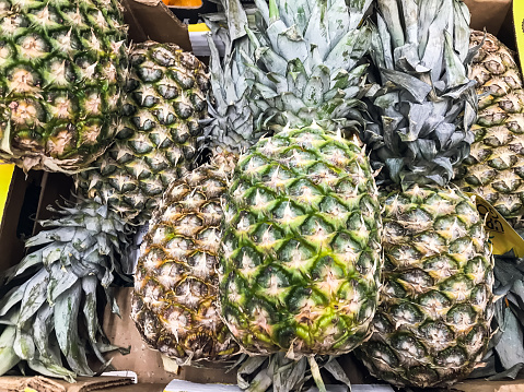 fresh Pineapple for sale, Philippines