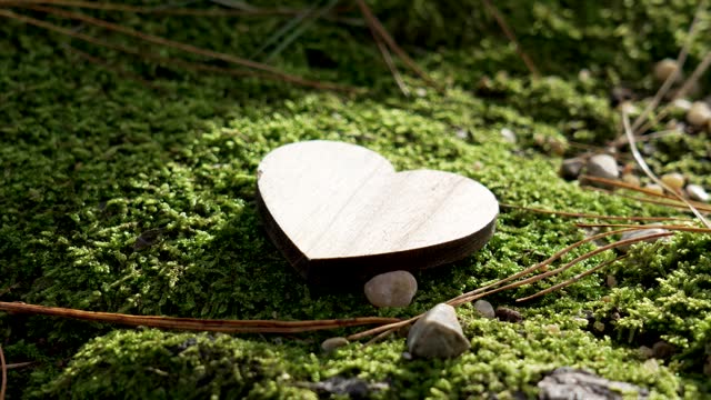 Wooden heart shape on green moss in the morning forest close up
