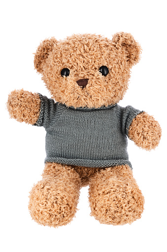 Teddy bear fluffy vintage plush toy favourite of kids isolated on white background