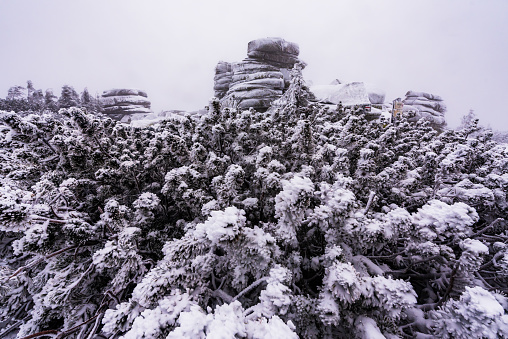 Frozen rock formation called Divci Kameny on Krkonosska magistrala in the Krkonose NP in winter.
