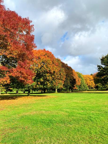 istock Colours of Autumn 1852042167