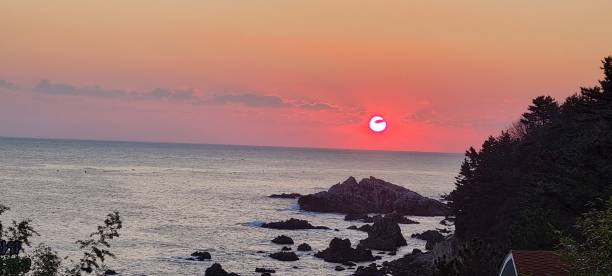 istock the sunrise on the beach 1852064975