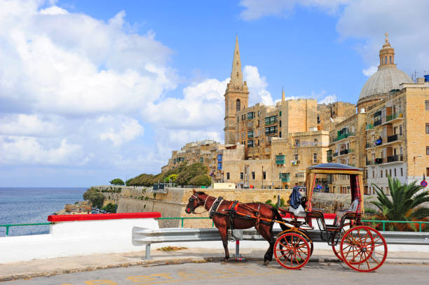 Valetta, Malta Valetta cityscape with horse carriage waiting for a city tour. valletta photos stock pictures, royalty-free photos & images