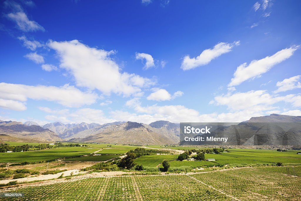 Wunderschöne Winelands Landschaft Worcester Region Western Cape, Südafrika - Lizenzfrei Afrika Stock-Foto