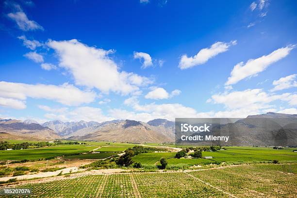 Wunderschöne Winelands Landschaft Worcester Region Western Cape Südafrika Stockfoto und mehr Bilder von Afrika