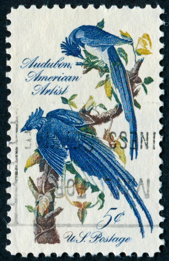 Cancelled Stamp From The United States Commemorating The Nature Artist John James Audubon