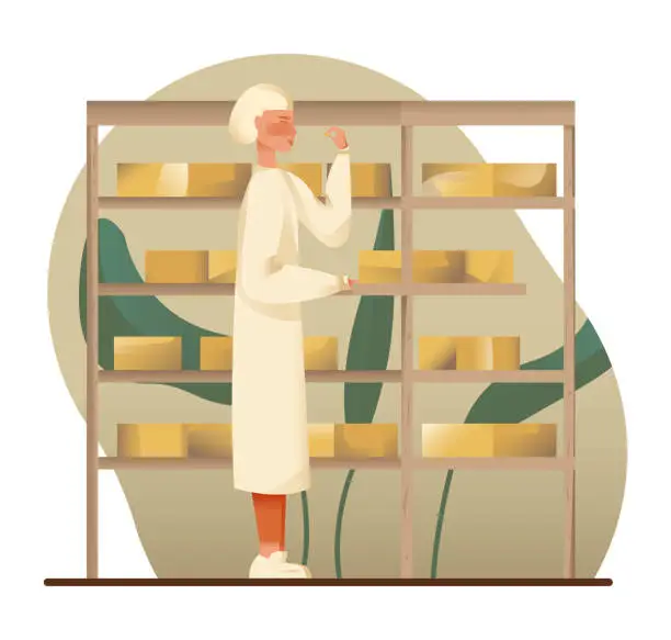 Vector illustration of Worker checking quality of dairy product. Cheese making process in factory concept