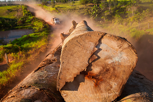 A truck transporting some tropical trunk wood from the amazon rainforest.60-70 percent of deforestation in the Amazon results from cattle ranches and soyabeans cultivation while the rest mostly results from small-scale subsistence agriculture.