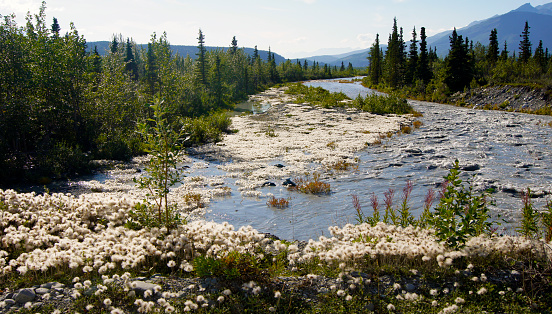 Matanuska River, Glenn Highway, Anchorage Glennallen Alaska - USA