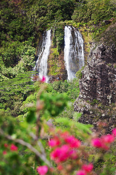 istock Opaeka'a Falls in Kauai, Hawaii Vt 185209464