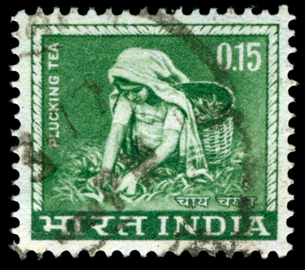 Postage stamp printed in India shows Rose, 2002