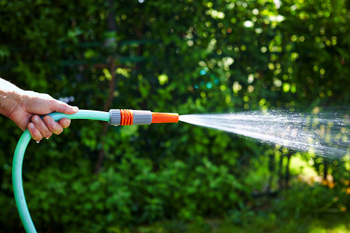 Hand holds a garden hose and watering the garden