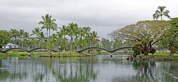 hilo kalakaua park - hilo foto e immagini stock