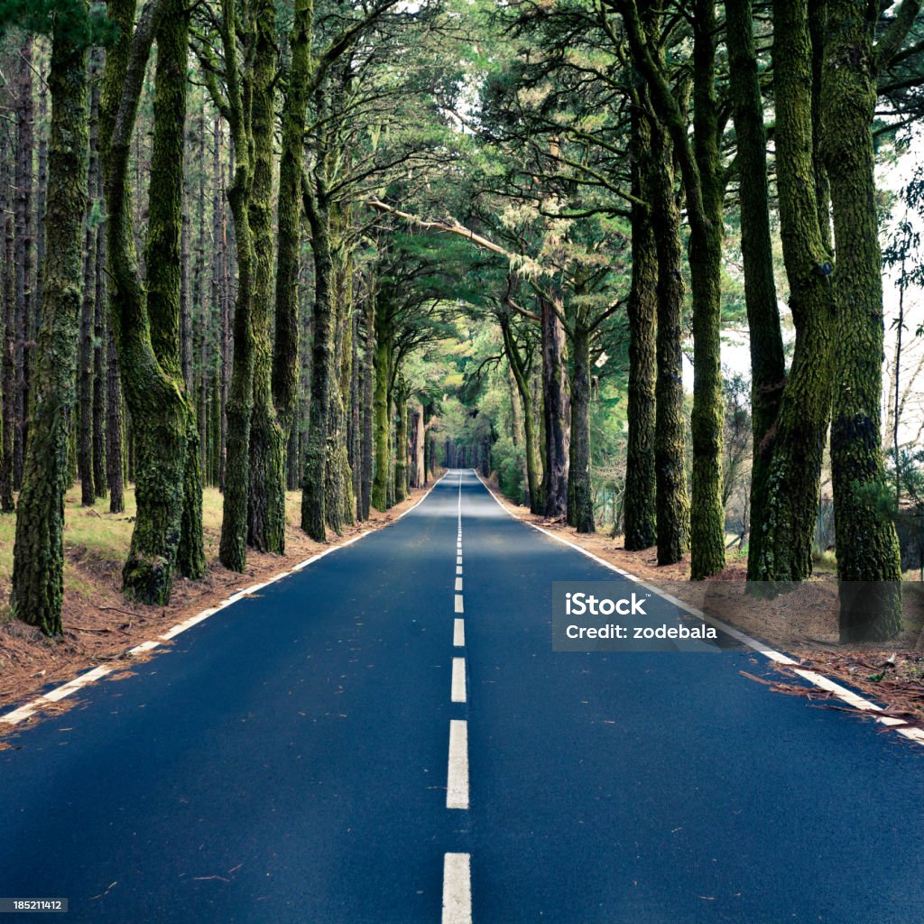 Estrada em madeira, Ilhas Canárias - Royalty-free Alfalto Foto de stock