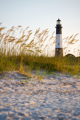Tybee Island lighthouse viewed from the dunes on the beach.