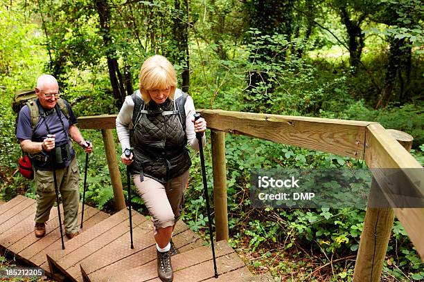 Altes Paar In Landschaft Wandern Stockfoto und mehr Bilder von Wandern - Wandern, Stufen, Missgeschick
