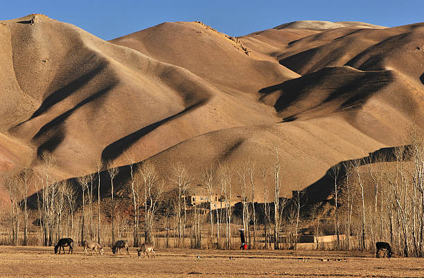 istock Afghanistan farm houses in steppe hills 185212265