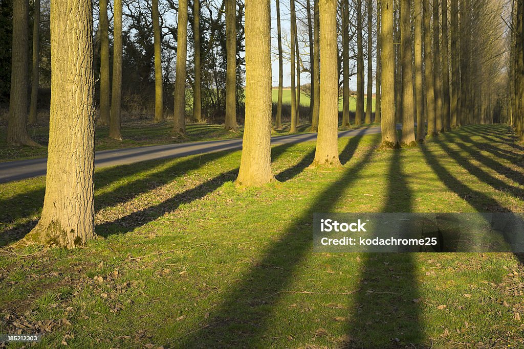 Di campagna lane - Foto stock royalty-free di Accessibilità