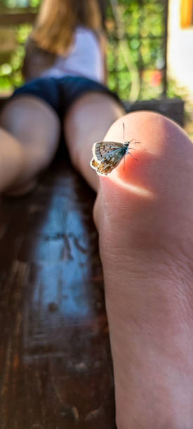 Butterfly Lands on Girl Leg