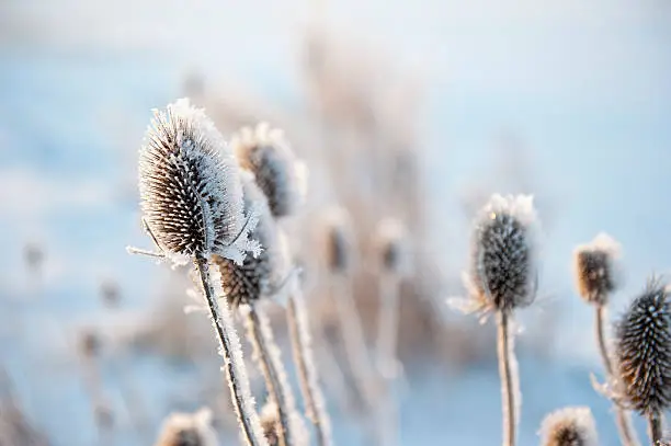 Photo of winter landscape