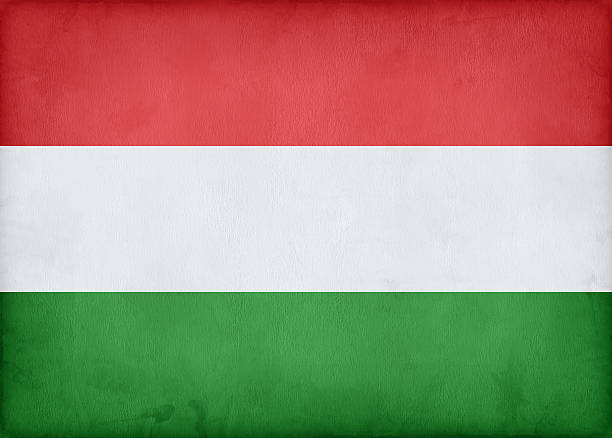 bandera de hungría - hungarian flag fotografías e imágenes de stock