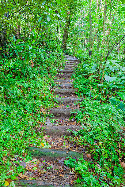 istock Vermont Nature Trail, St. Vincent 185212561