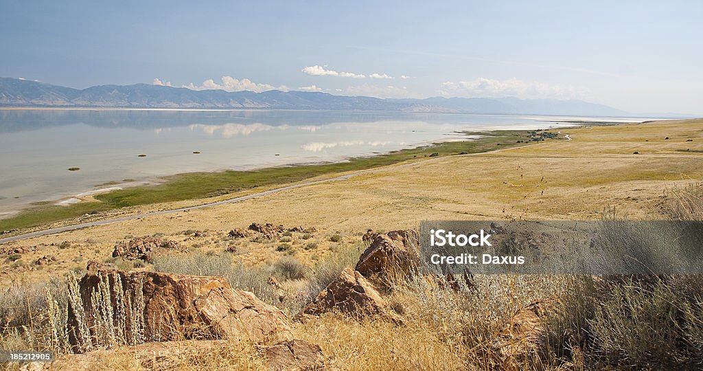 Wielka Sól Jezioro Shoreline - Zbiór zdjęć royalty-free (Antelope Island)