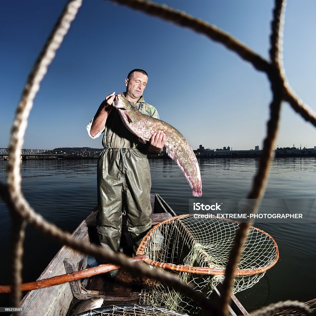 D'énormes poissons - Photo de Activité de loisirs libre de droits