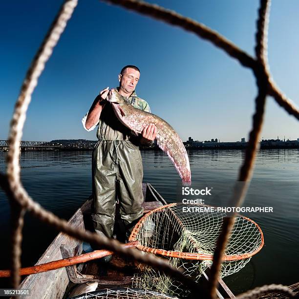 Enorme De Peixe - Fotografias de stock e mais imagens de Adulto - Adulto, Animal, Ao Ar Livre