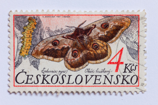 Postage Stamp from the former Czechoslovakia showing the Giant Emperor Moth and its caterpillar (Saturnia Pyri).