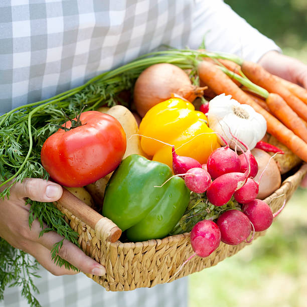 istock Basket With Organic Vegetables Fresh From Market 185213657
