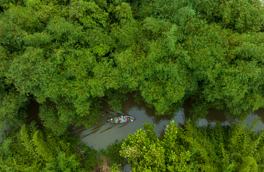 Aerial photo of a small boat on a canal in the middle of a bamboo forest, Hau Giang province, Vietnam