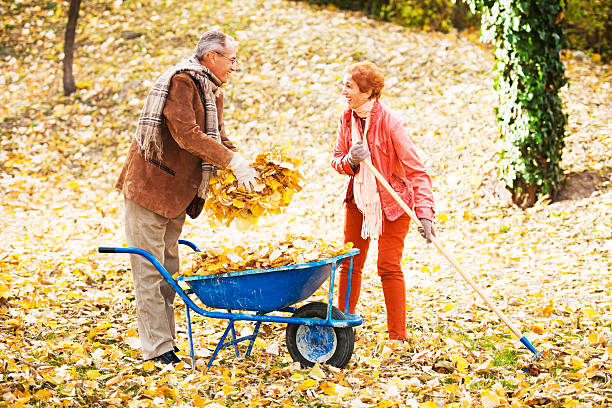 casal idoso raking folhas. - gardening senior adult action couple imagens e fotografias de stock
