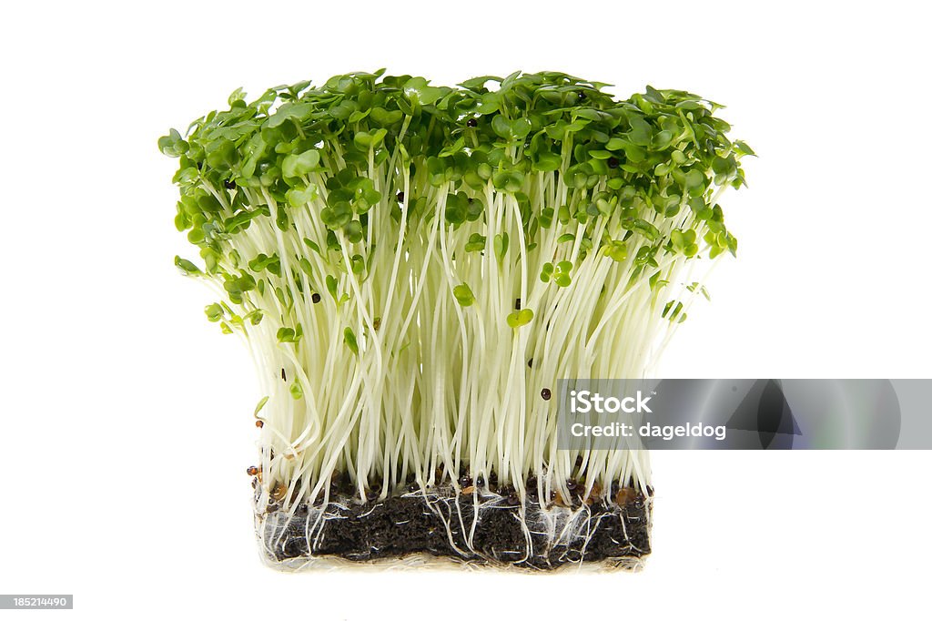 home grown fresh home grown watercress Concepts Stock Photo