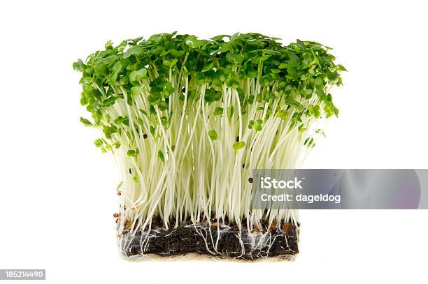 Home Grown Stock Photo - Download Image Now - Concepts, Cress, Crucifers