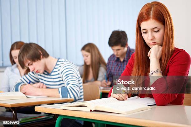 Gruppe Von Studenten Lernen In Parlamentarische Stockfoto und mehr Bilder von Akademisches Lernen - Akademisches Lernen, Arbeitszimmer, Betrachtung