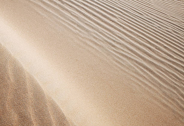 vagues de sable - sahara desert coastline wind natural pattern photos et images de collection