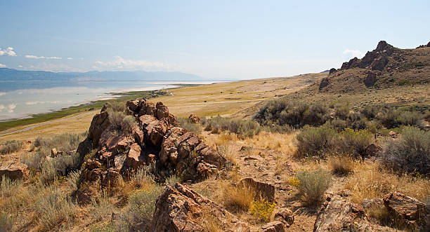 istock Great Salt Lake Shoreline 185214567
